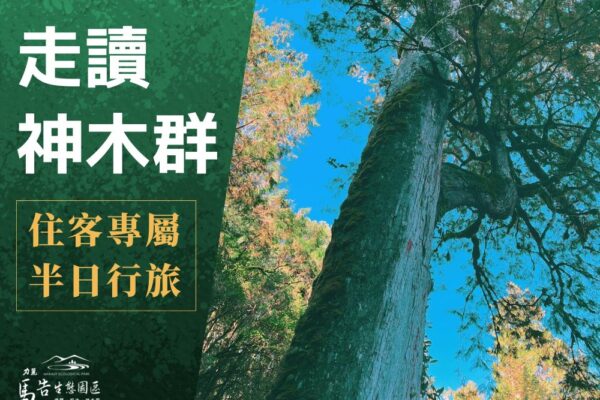馬告生態園區 - 樓蘭/明池住客專享行程，棲蘭神木園半日遊體驗
