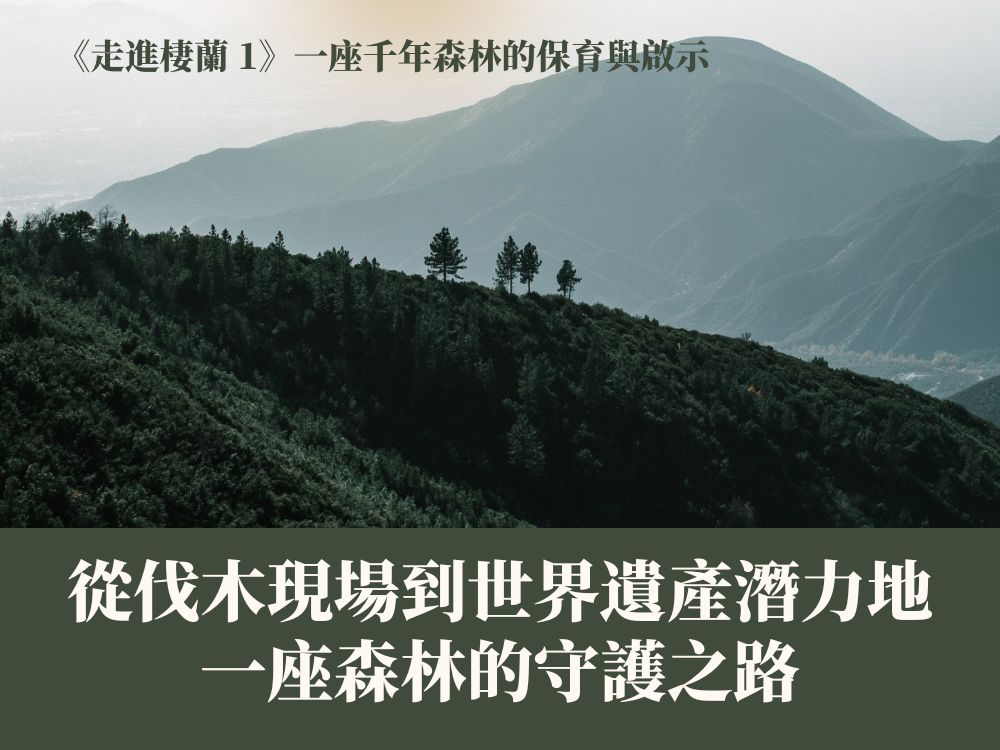 《走進棲蘭1》從伐木現場到世界遺產潛力地：一座森林的守護之路
