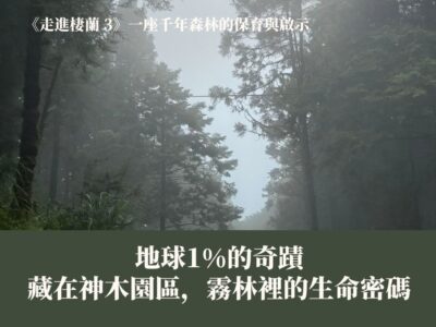 《走進棲蘭 3》地球1%的奇蹟：藏在神木園區霧林裡的生命密碼