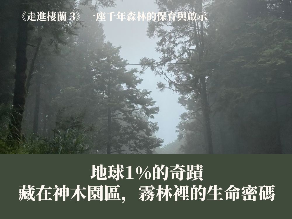 《走進棲蘭 3》地球1%的奇蹟：藏在神木園區霧林裡的生命密碼