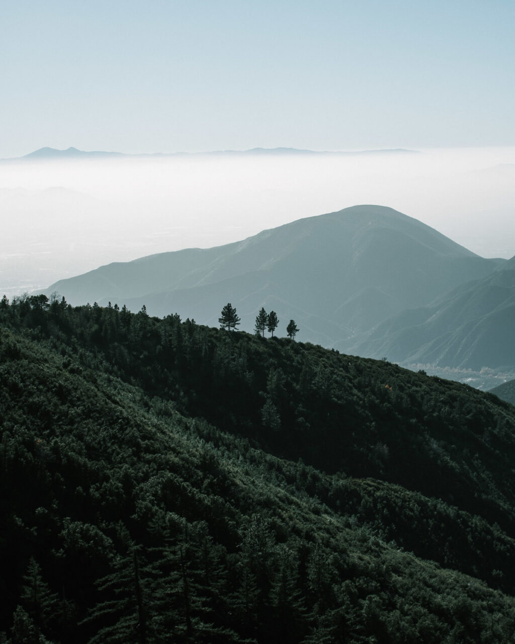 棲蘭山 (示意圖)