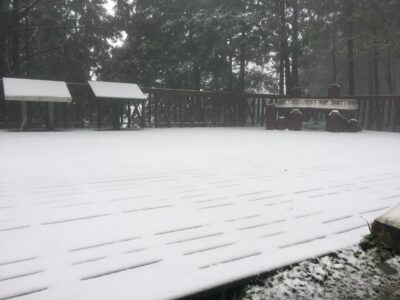 棲蘭神木園-下雪景色