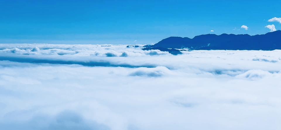 棲蘭神木園雲海