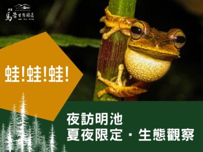 明池夜間生態觀察