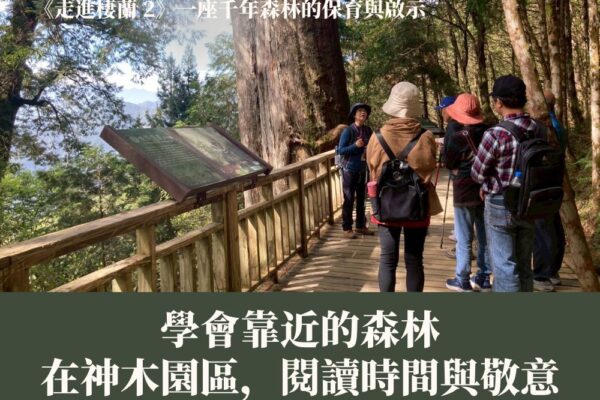 《走進棲蘭2》學會靠近的森林：在神木園區，閱讀時間與敬意
