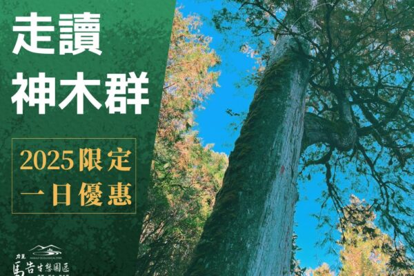棲蘭神木園區 《2025限定•一日遊優惠》