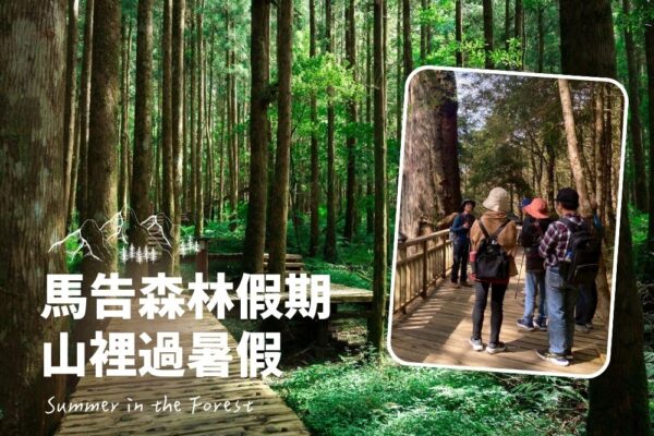 2025馬告暑假森林住房專案