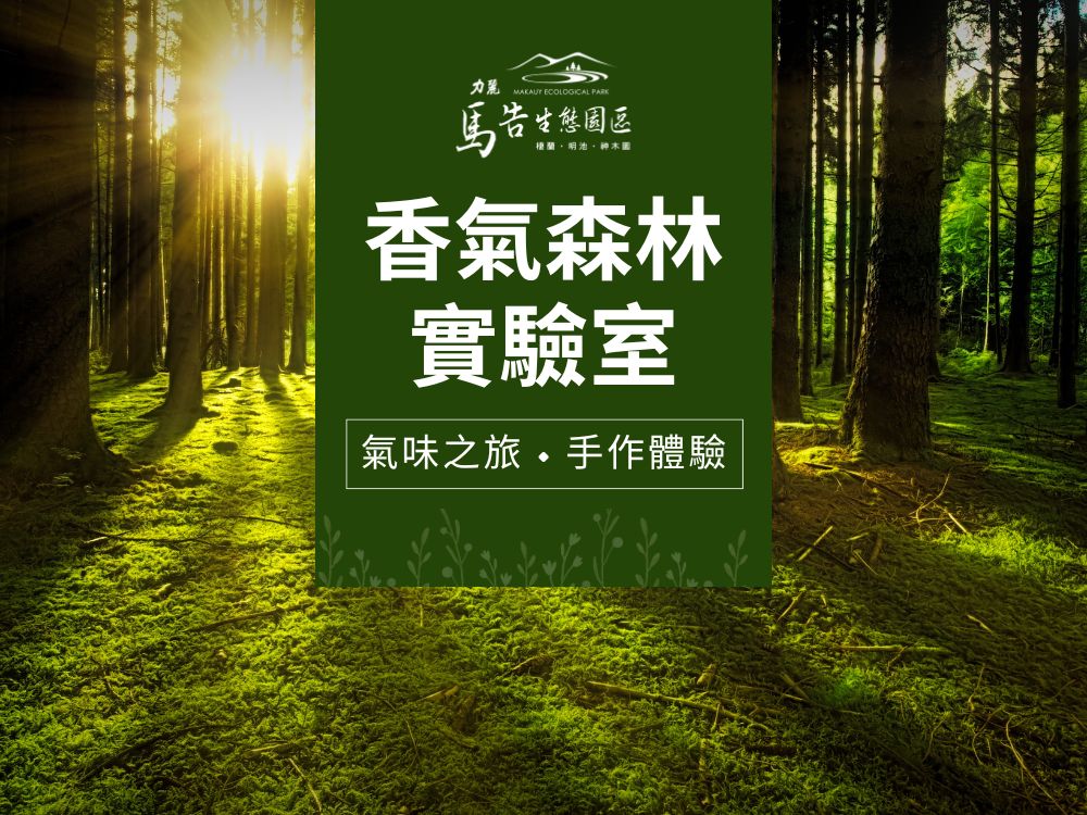 馬告生態園區-香氣森林實驗室-精油製作DIY & 擴香片手作