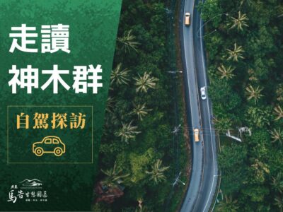 棲蘭神木園《自駕探訪》