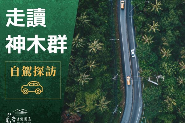 棲蘭神木園《自駕探訪》