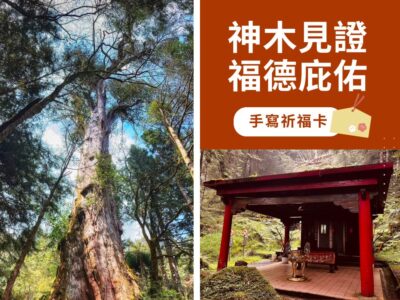 棲蘭神木園_祈福卡許心願，神木見證願望成真