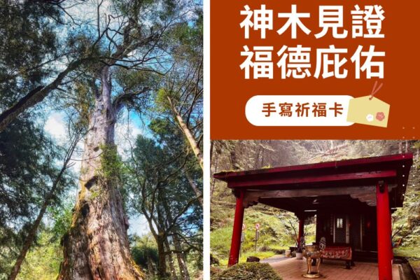 棲蘭神木園_祈福卡許心願，神木見證願望成真