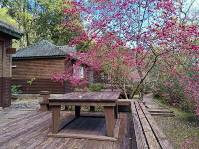 棲蘭山莊賞櫻小木屋