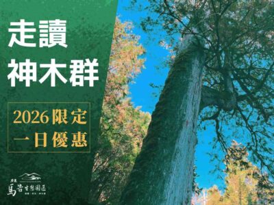 棲蘭神木園區 《2026限定•一日遊優惠》